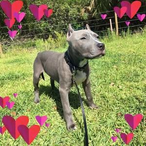 Meet your Posher, Brandye